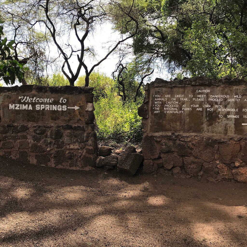 Mzima Springs